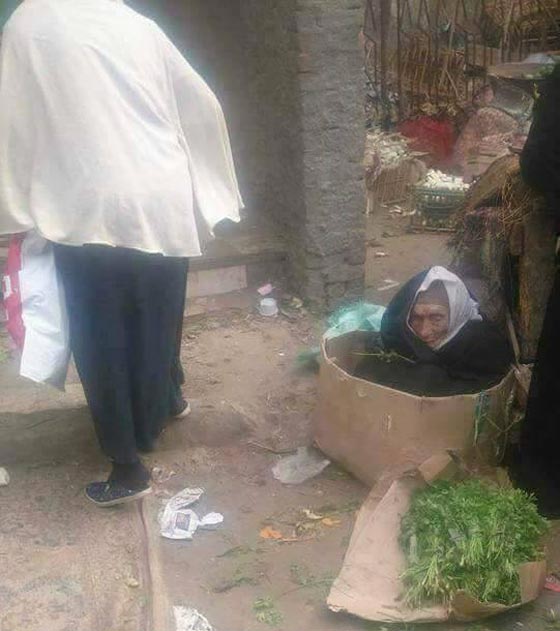 صورة صادمة.. عجوز مصرية كفيفة تعيش داخل كرتونة! صورة رقم 1