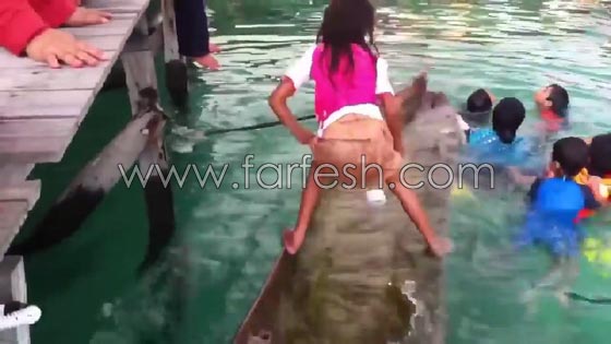 طفلة ذكية تنقذ قاربا صغيرا من الغرق.. شاهد الفيديو صورة رقم 1