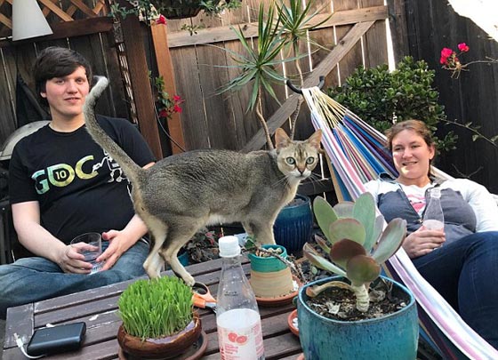 انبعاث غاز من طابعة يقتل زوجين وقطتين في منزل بامريكا صورة رقم 1