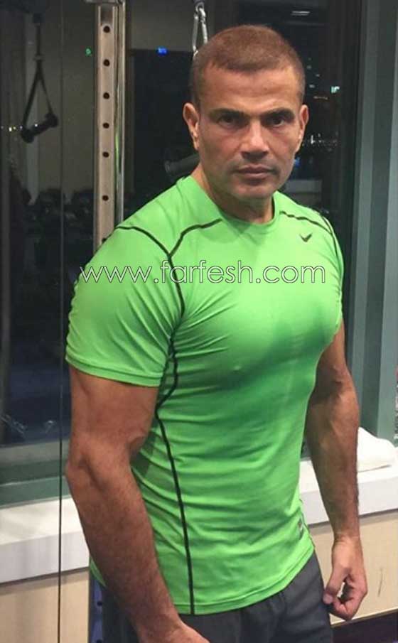 زواج عمرو دياب من دينا الشربيني.. هل تم فعلا بشكل سري؟ صورة رقم 3
