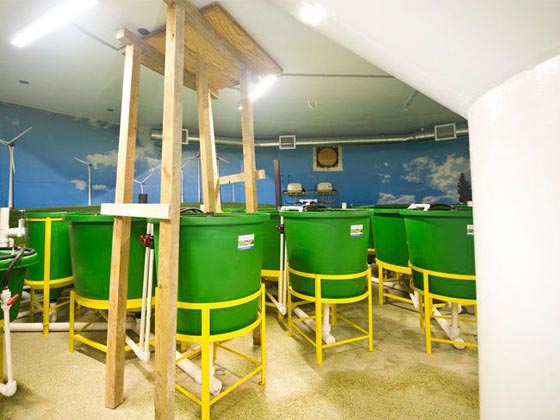 بالطائرات والدراجات النارية والمخابئ الجوفية يواجه الاثرياء نهاية العالم صورة رقم 24