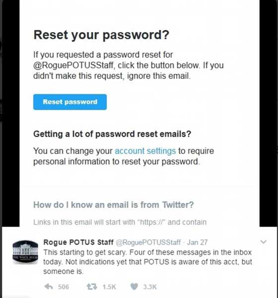 يعرفون بكل صغيرة وكبيرة.. أشرار يغردون بـ