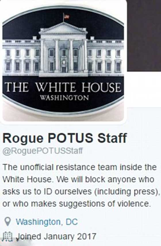 يعرفون بكل صغيرة وكبيرة.. أشرار يغردون بـ