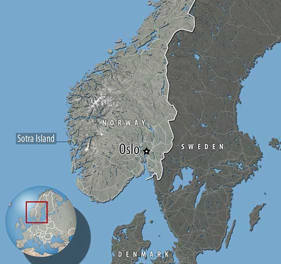 نفوق حوت ضخم والعثور على 30 كيسا بلاستيكيا في معدته! فيديو صورة رقم 7