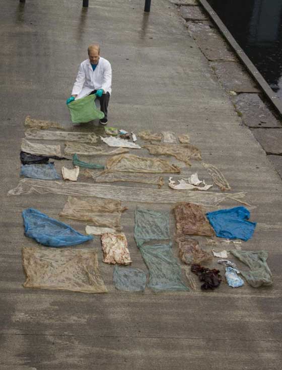 نفوق حوت ضخم والعثور على 30 كيسا بلاستيكيا في معدته! فيديو صورة رقم 2