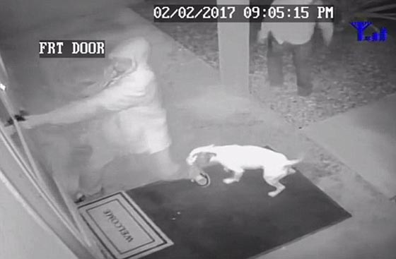 فيديو لحظة فشل هجوم عصابة لصوص على منزل صورة رقم 3