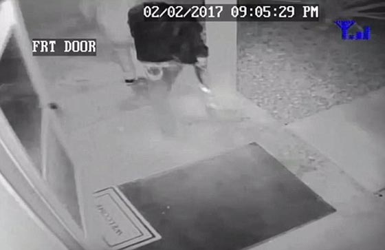 فيديو لحظة فشل هجوم عصابة لصوص على منزل صورة رقم 6