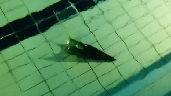 سقوط صواريخ من سيناء في جنوبي اسرائيل بمدينة إيلات  صورة رقم 1