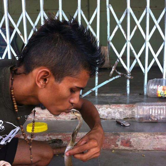 شاب يخسر حياته عند تقبيل كوبرا سامة من أجل صورة مثيرة صورة رقم 6