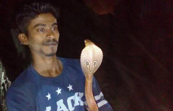 شاب يخسر حياته عند تقبيل كوبرا سامة من أجل صورة مثيرة صورة رقم 2