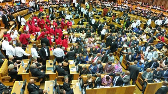 فساد الرئيس تسبب بمعركة داخل البرلمان في جنوب افريقيا.. فيديو صورة رقم 2