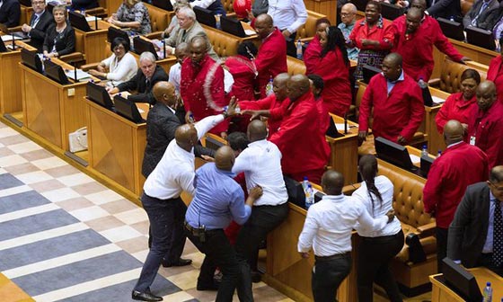 فساد الرئيس تسبب بمعركة داخل البرلمان في جنوب افريقيا.. فيديو صورة رقم 5