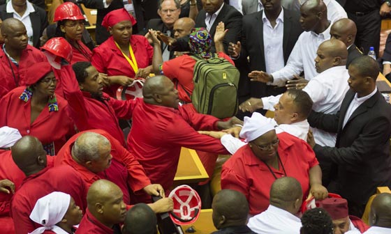 فساد الرئيس تسبب بمعركة داخل البرلمان في جنوب افريقيا.. فيديو صورة رقم 6