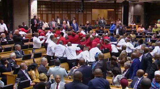 فساد الرئيس تسبب بمعركة داخل البرلمان في جنوب افريقيا.. فيديو صورة رقم 1