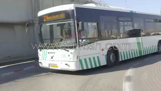 ماجدة دنديس من القدس.. تجمع بين كونها زوجة وام وسائقة باص عمومي صورة رقم 9