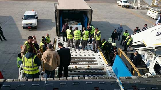 صور مذهلة.. مشروع نقل فتاة مصرية تزن نصف طن الى الهند بطائرة شحن صورة رقم 12