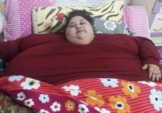 صور مذهلة.. مشروع نقل فتاة مصرية تزن نصف طن الى الهند بطائرة شحن صورة رقم 16