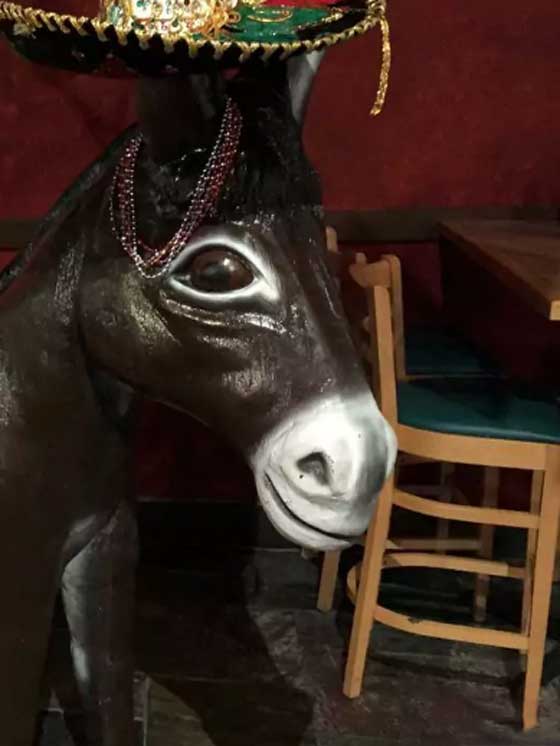 امرأة ترفع دعوى قضائية ضد مطعم بسبب حمار! صورة رقم 3