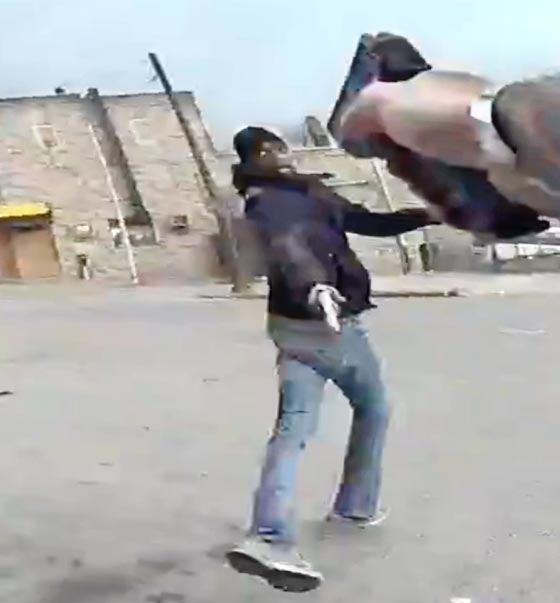 مواجهة نارية بين شرطي امريكي وسجين محرر انتهت بمقتل الاخير! فيديو صورة رقم 1