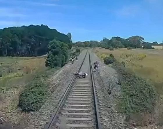 بالفيديو.. نجاة سائق دراجة من الموت تحت عجلات القطار بأعجوبة صورة رقم 3