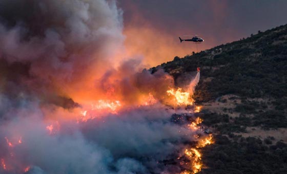 حرائق غابات ضخمة في نيوزيلندا تتسبب بنزوح الآلاف عن بيوتهم صورة رقم 1