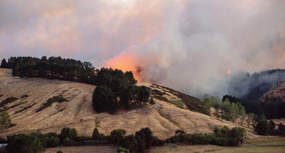 حرائق غابات ضخمة في نيوزيلندا تتسبب بنزوح الآلاف عن بيوتهم صورة رقم 3