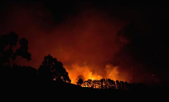 حرائق غابات ضخمة في نيوزيلندا تتسبب بنزوح الآلاف عن بيوتهم صورة رقم 6