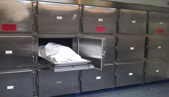 محامي مصري مضطرب نفسيا يقتل والدته ضربا وركلا وهي تصلي الفجر صورة رقم 1