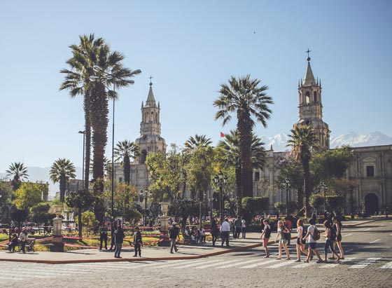 اشجار نخيل في محيط كاتدرائية ميلانو تثير جدلا في ايطاليا صورة رقم 4