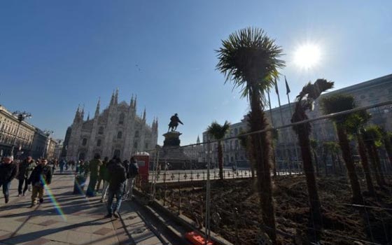 اشجار نخيل في محيط كاتدرائية ميلانو تثير جدلا في ايطاليا صورة رقم 5