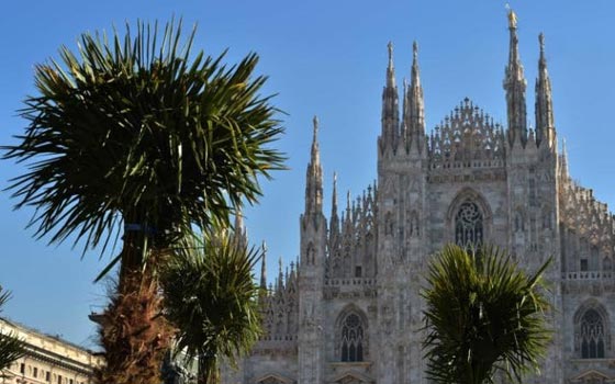 اشجار نخيل في محيط كاتدرائية ميلانو تثير جدلا في ايطاليا صورة رقم 6