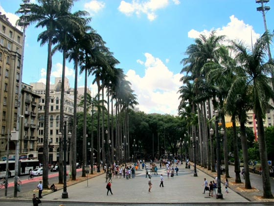 اشجار نخيل في محيط كاتدرائية ميلانو تثير جدلا في ايطاليا صورة رقم 9