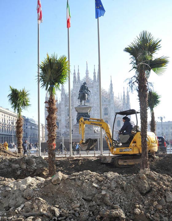 اشجار نخيل في محيط كاتدرائية ميلانو تثير جدلا في ايطاليا صورة رقم 1