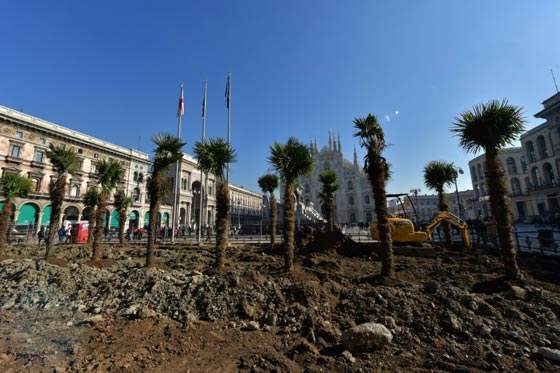 اشجار نخيل في محيط كاتدرائية ميلانو تثير جدلا في ايطاليا صورة رقم 2