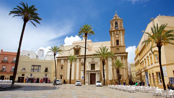 اشجار نخيل في محيط كاتدرائية ميلانو تثير جدلا في ايطاليا صورة رقم 12