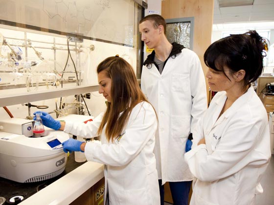 رواتب خيالية مقابل وظائف رفيعة وسهلة لمن لا يحبون الإجهاد  صورة رقم 1