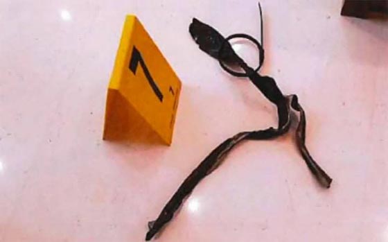 الشرطة الفرنسية تفرج عن مجموعة صور تتعلق بالسطو على كارداشيان صورة رقم 1