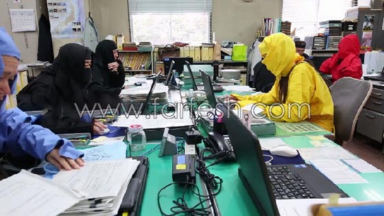  فيديو طريف: موظفون في العمل يرتدون ملابس النينجا في اليوم الوطني للنينجا  صورة رقم 8