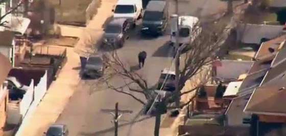 بالفيديو.. مطاردة جنونية للقبض على ثور هائج في نيويورك صورة رقم 1