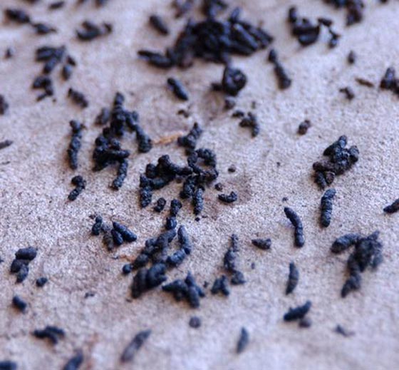   قائمة 8 حقائق صادمة عن النقود.. بعضها لم يخطر على بالكم من قبل صورة رقم 1