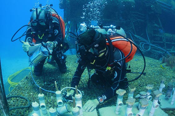 رواد فضاء يعيشون تحت الماء استعدادا لاقتحام العالم الخارجي.. فيديو صورة رقم 10