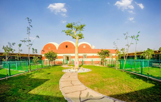  اول فندق لاستضافة الكلاب بمستوى 5 نجوم في القاهرة.. صور صورة رقم 3