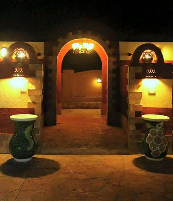  اول فندق لاستضافة الكلاب بمستوى 5 نجوم في القاهرة.. صور صورة رقم 8