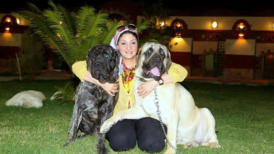  اول فندق لاستضافة الكلاب بمستوى 5 نجوم في القاهرة.. صور صورة رقم 2