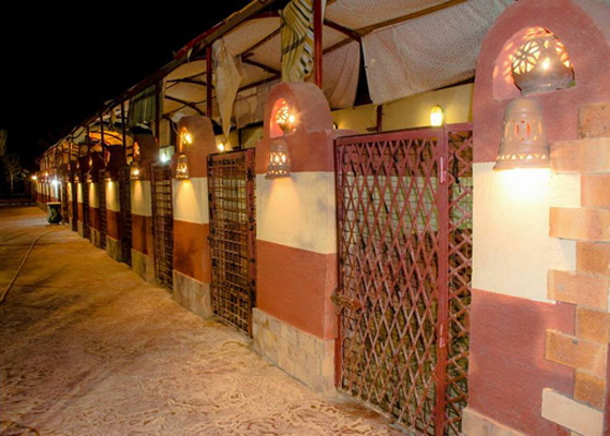  اول فندق لاستضافة الكلاب بمستوى 5 نجوم في القاهرة.. صور صورة رقم 9