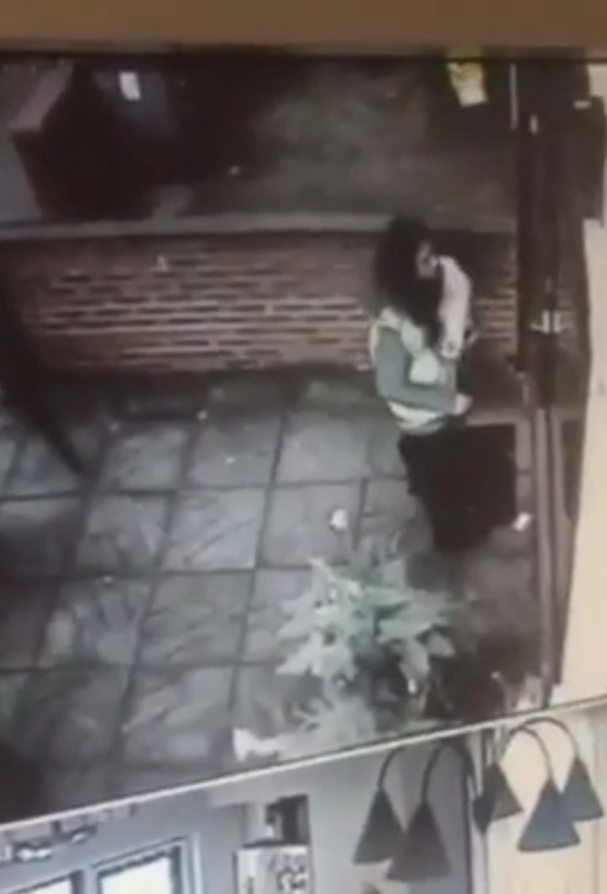  فتاة حسناء تطرق الباب ولص ماكر يقتحم المنزل.. شاهد الفيديو صورة رقم 1