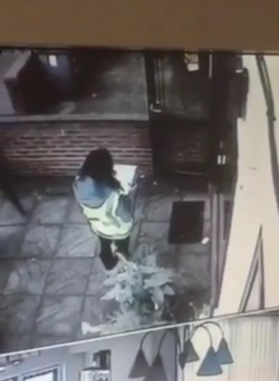  فتاة حسناء تطرق الباب ولص ماكر يقتحم المنزل.. شاهد الفيديو صورة رقم 3