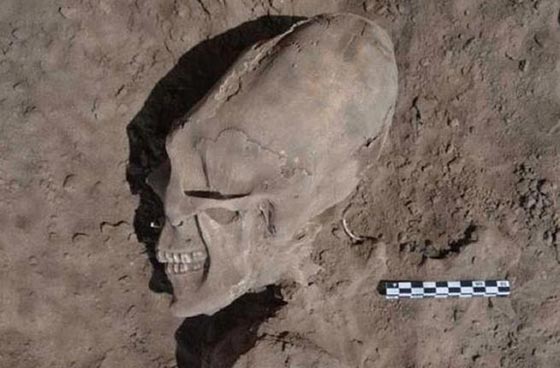  حقائق وصور المريخ: دبي تخطط لغزوه وترامب سيرسل المسلمين اليه! صورة رقم 5