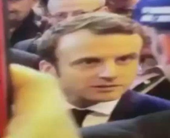 فيديو صادم.. بيضة في جبين المرشح الرئاسة للانتخابات الفرنسية صورة رقم 3