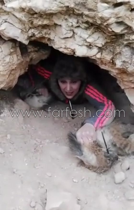 التحقيق مع صحفية اردنية ظهرت في فيديو وهي تصطاد الضباع صورة رقم 1